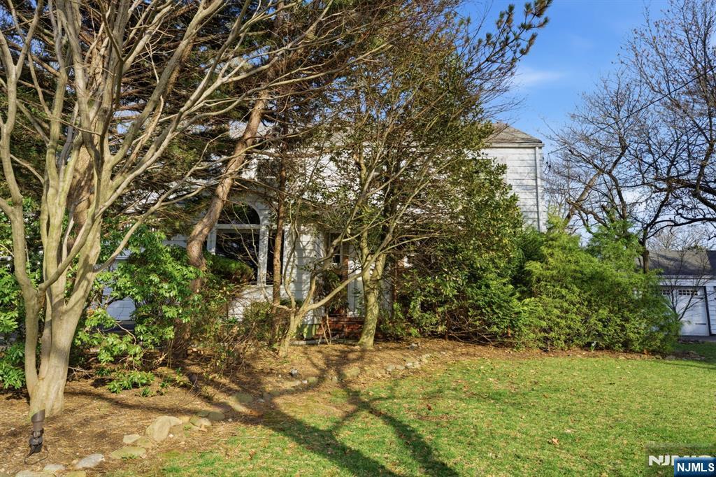 168 Engle Street Tenafly, NJ 07670 - Photo 2 of 50 a view of a yard with plants and trees