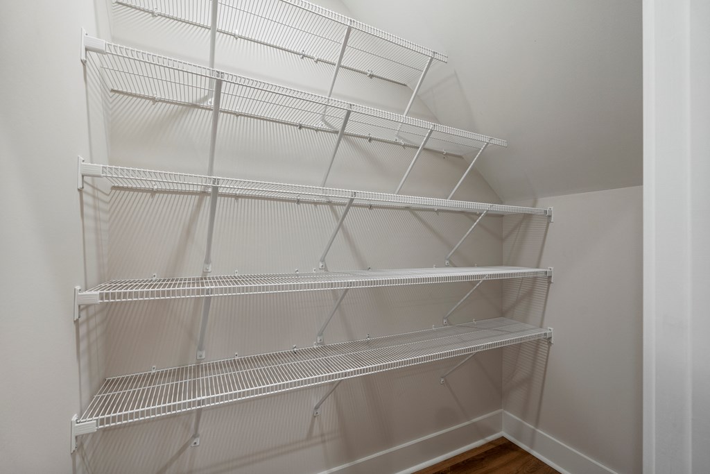 299 Ridgeway Drive Cataula, GA 31804 - Photo 23 of 52 a view of an empty walk in closet