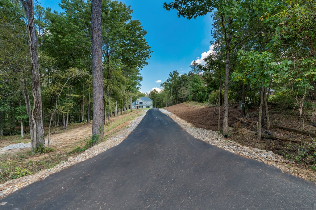 299 Ridgeway Drive Cataula, GA 31804 - Photo 42 of 52 a view of a road from a backyard