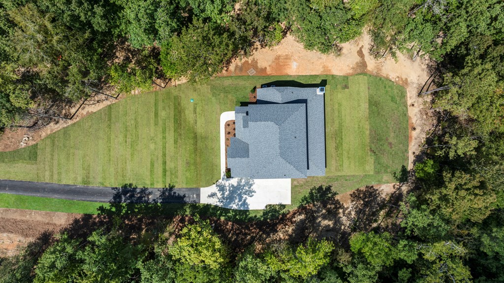 299 Ridgeway Drive Cataula, GA 31804 - Photo 45 of 52 an aerial view of a house