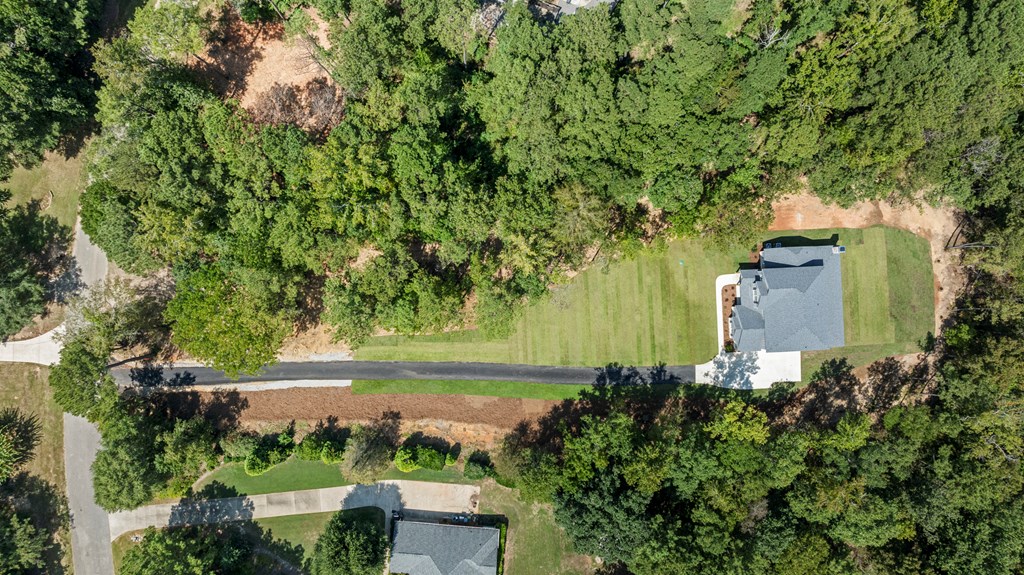 299 Ridgeway Drive Cataula, GA 31804 - Photo 46 of 52 an aerial view of a house with a yard