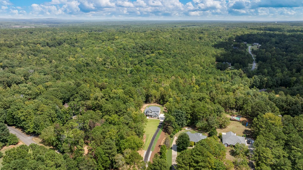299 Ridgeway Drive Cataula, GA 31804 - Photo 48 of 52 a view of a green yard with large trees