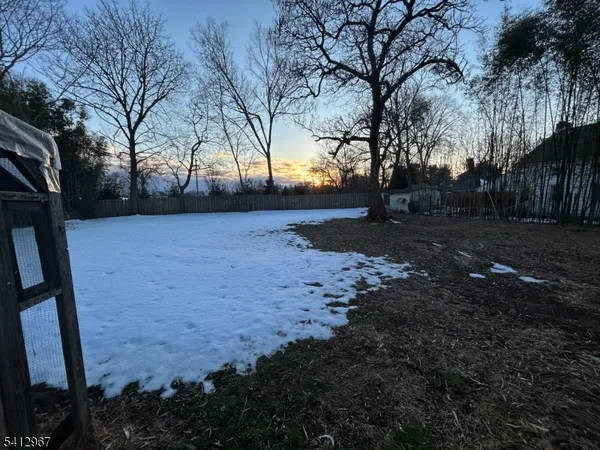 a view of backyard with large trees