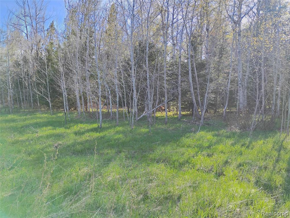 0 19 Mile Road Rudyard, MI 49780 - Photo 4 of 9