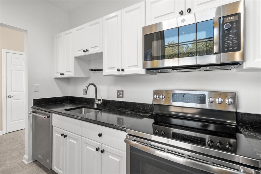 60e Glen Road, Unit 206 Brookline, MA 02445 - Photo 4 of 22 Gallery Image 4