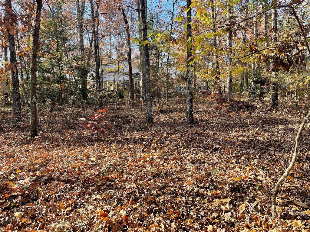 589 Issaqueena Trail Clemson, SC 29631 - Photo 8 of 15 Gallery Image 8