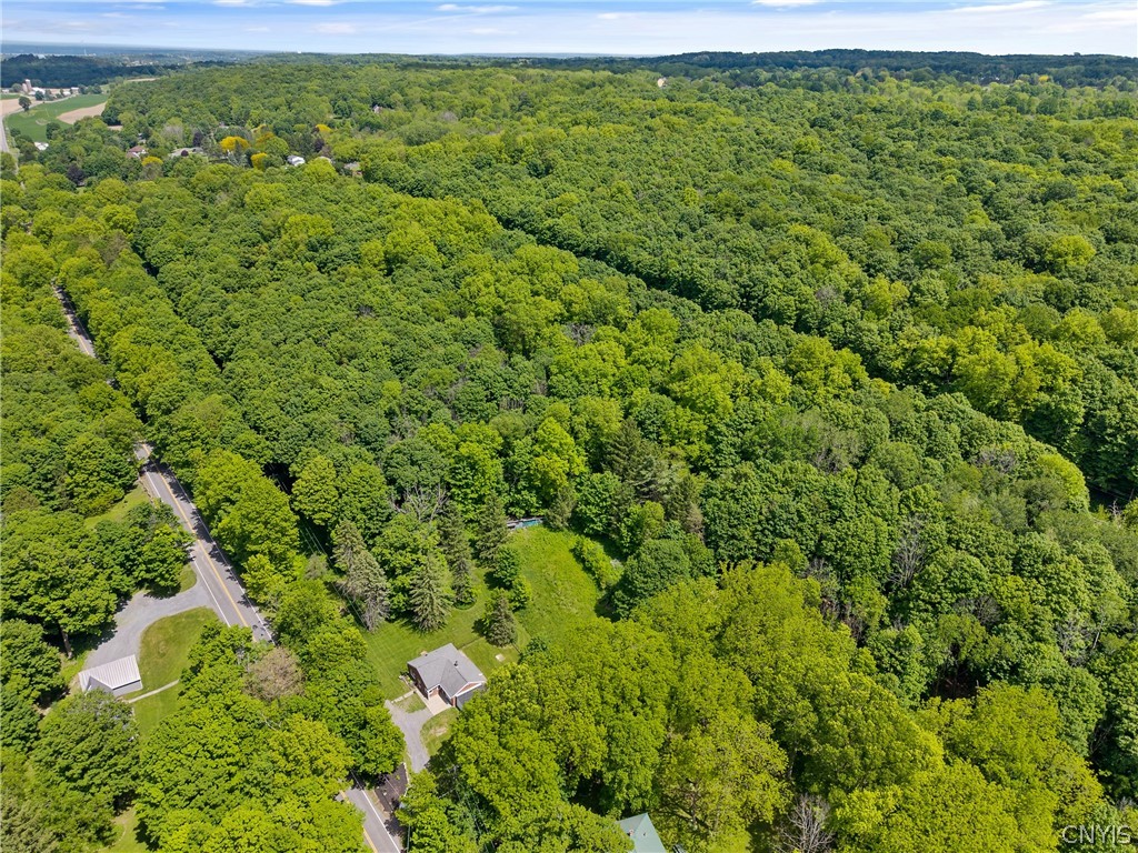 2696 Lyons Road Camillus, NY 13031 - Photo 29 of 31
