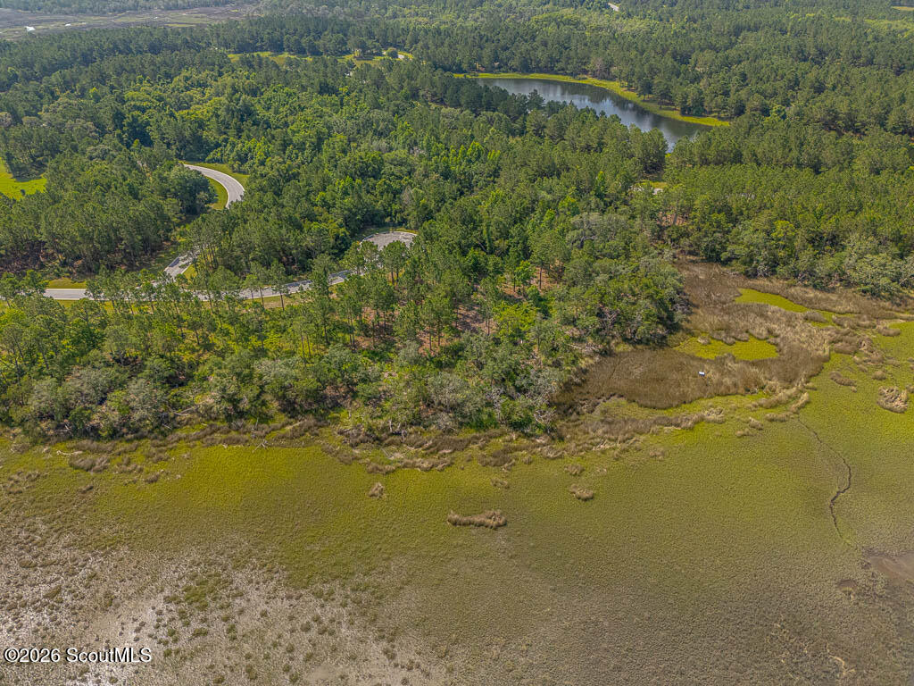 Lot 98 Wards Way Waverly, GA 31565 - Photo 10 of 20