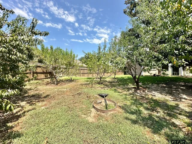 $2,350 | 19390 Sandhill Lane, Flint, TX 75762