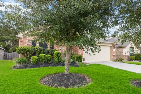 a view of a house with a small yard and a large tree