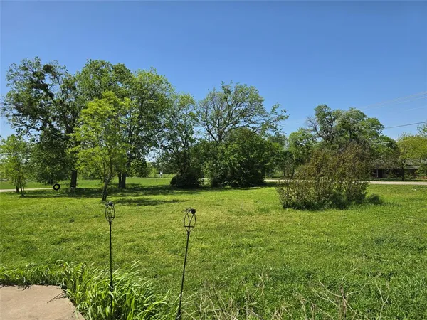 a view of a park with large trees