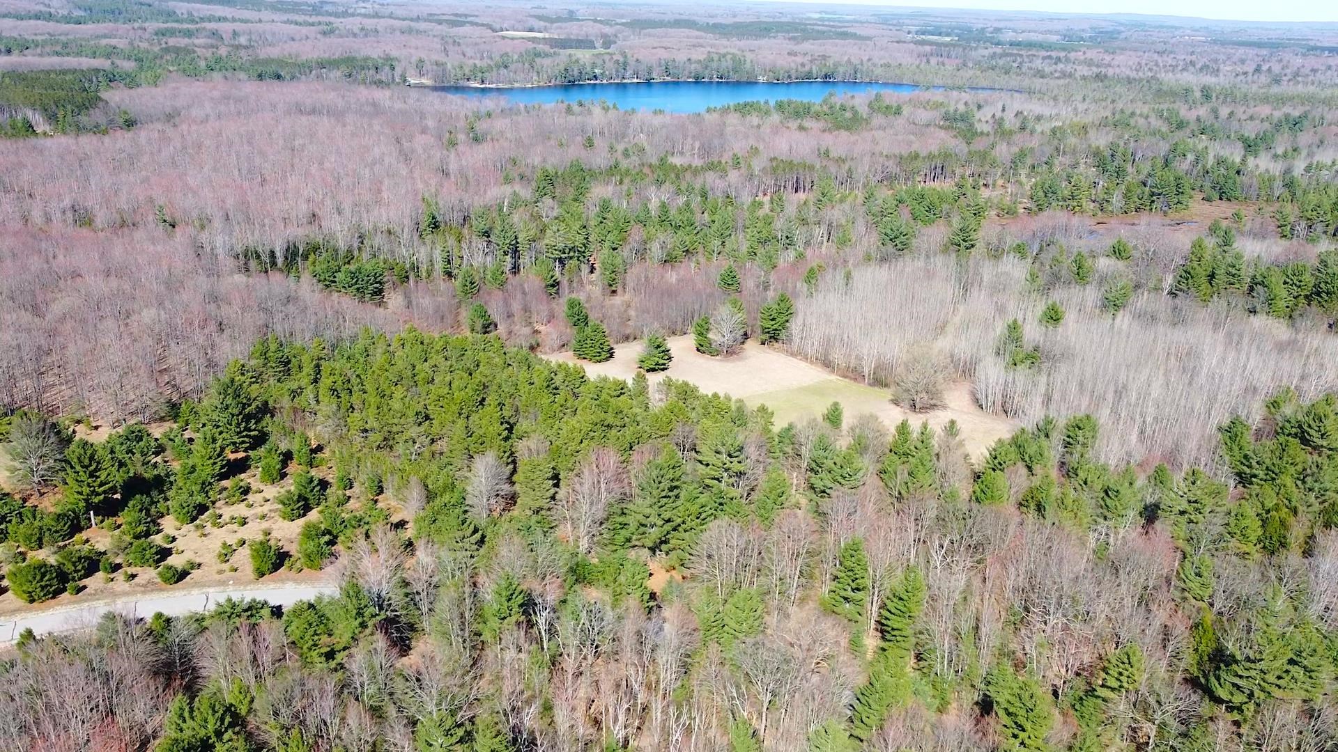 Southeast Spencer Road Southeast Kalkaska, MI 49646 - Photo 14 of 36