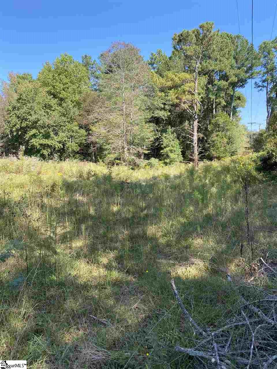 610 Joe Black Road Pelzer, SC 29669 - Photo 2 of 3