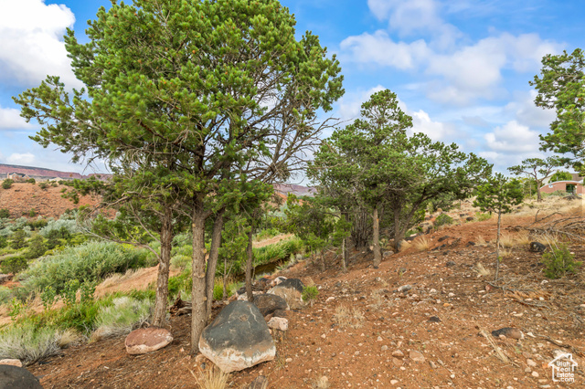 169 East 370 North Torrey, UT 84775 - Photo 11 of 23 View of yard