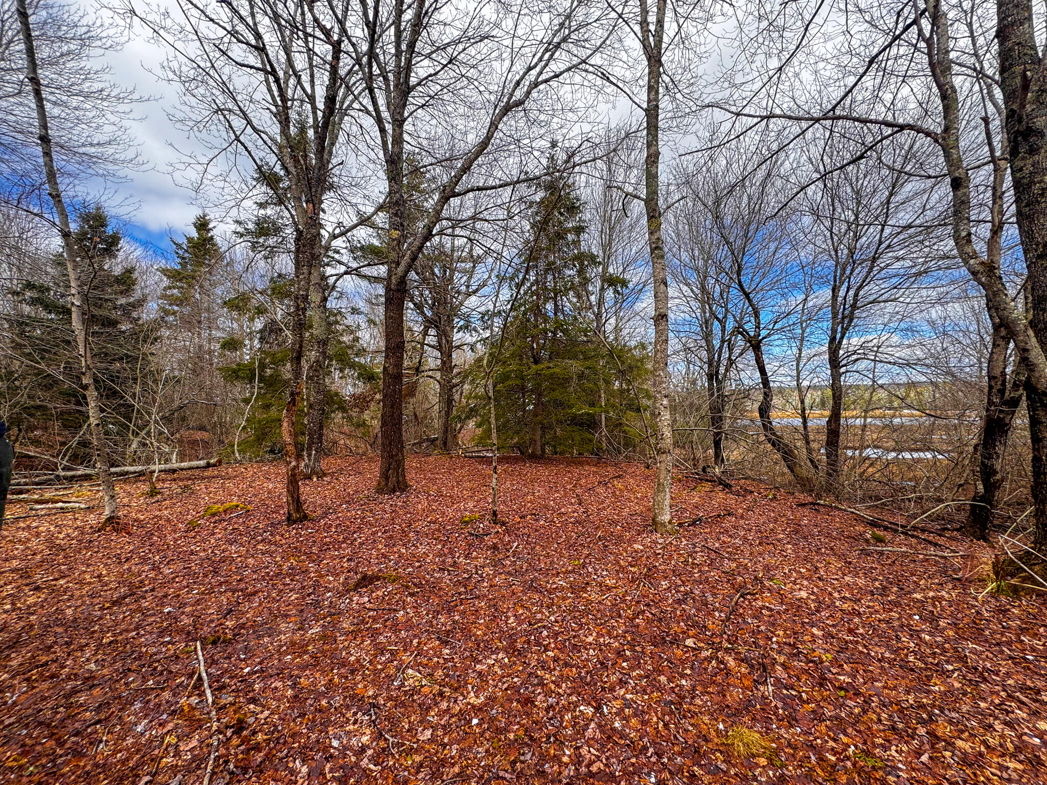 M5-l42 Hooke Road Harrington, ME 04643 - Photo 20 of 33