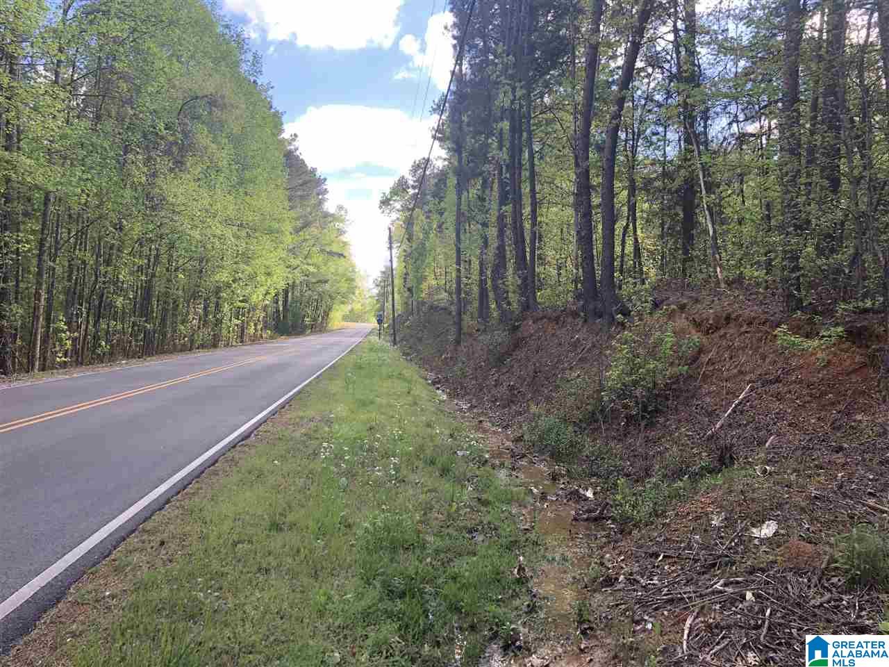 0 Mountain View Road, Unit 1 Odenville, AL 35120 - Photo 4 of 4