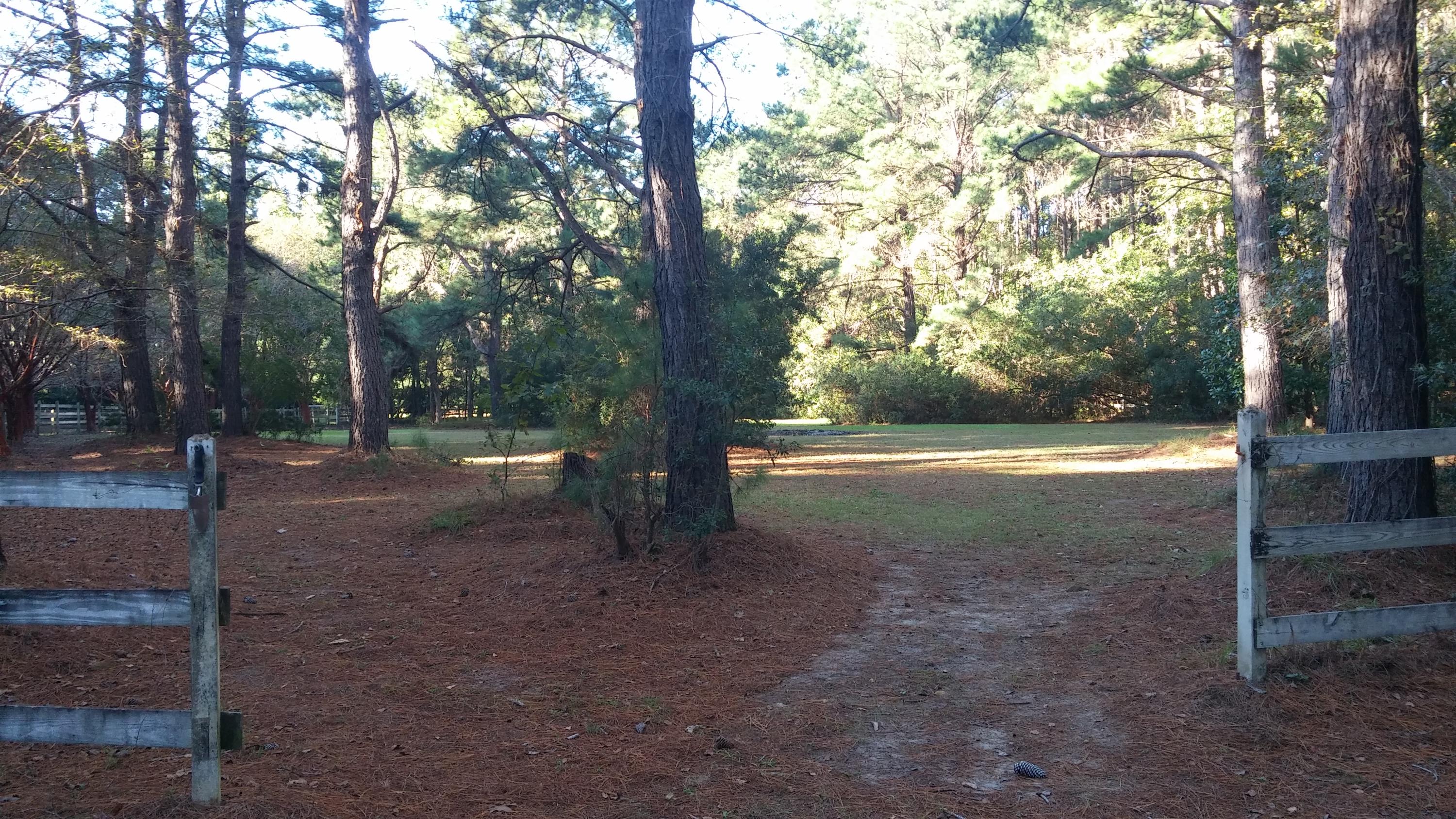1924 Longcreek Road Wadmalaw Island, SC 29487 - Photo 47 of 64 LCpasture1