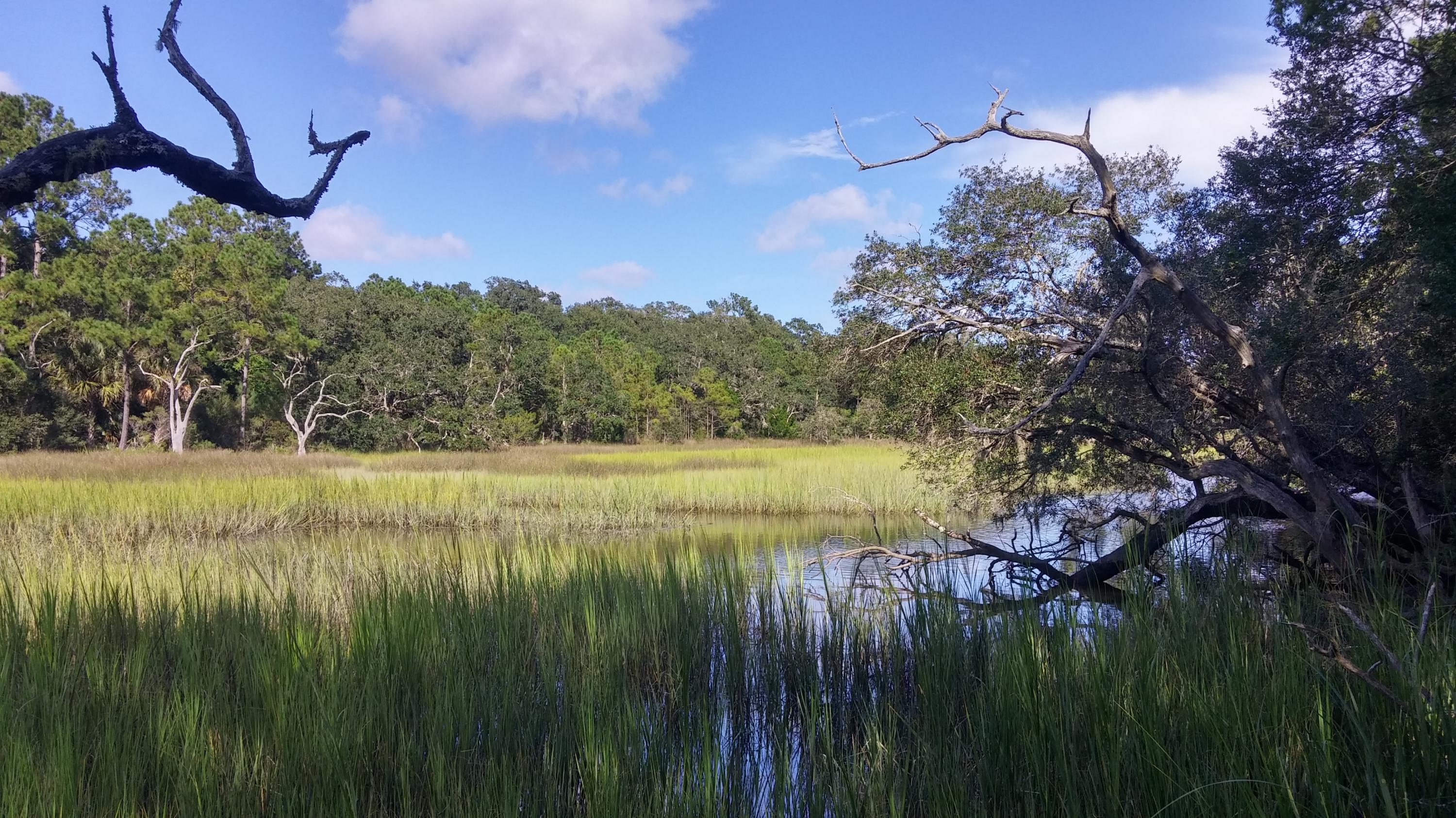 1924 Longcreek Road Wadmalaw Island, SC 29487 - Photo 56 of 64 LCcreek&marsh4HDR