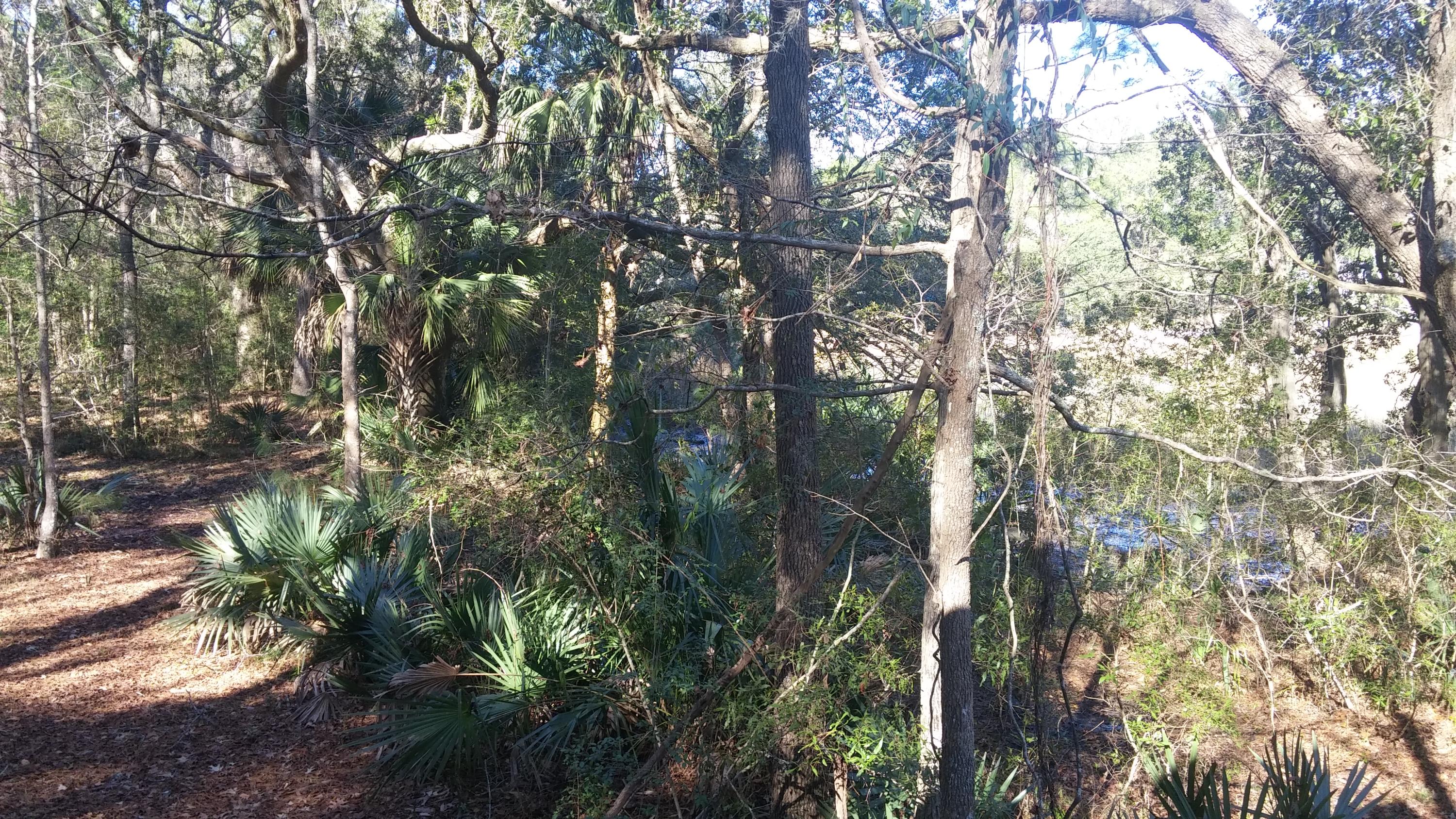 1924 Longcreek Road Wadmalaw Island, SC 29487 - Photo 63 of 64 LC2fauna