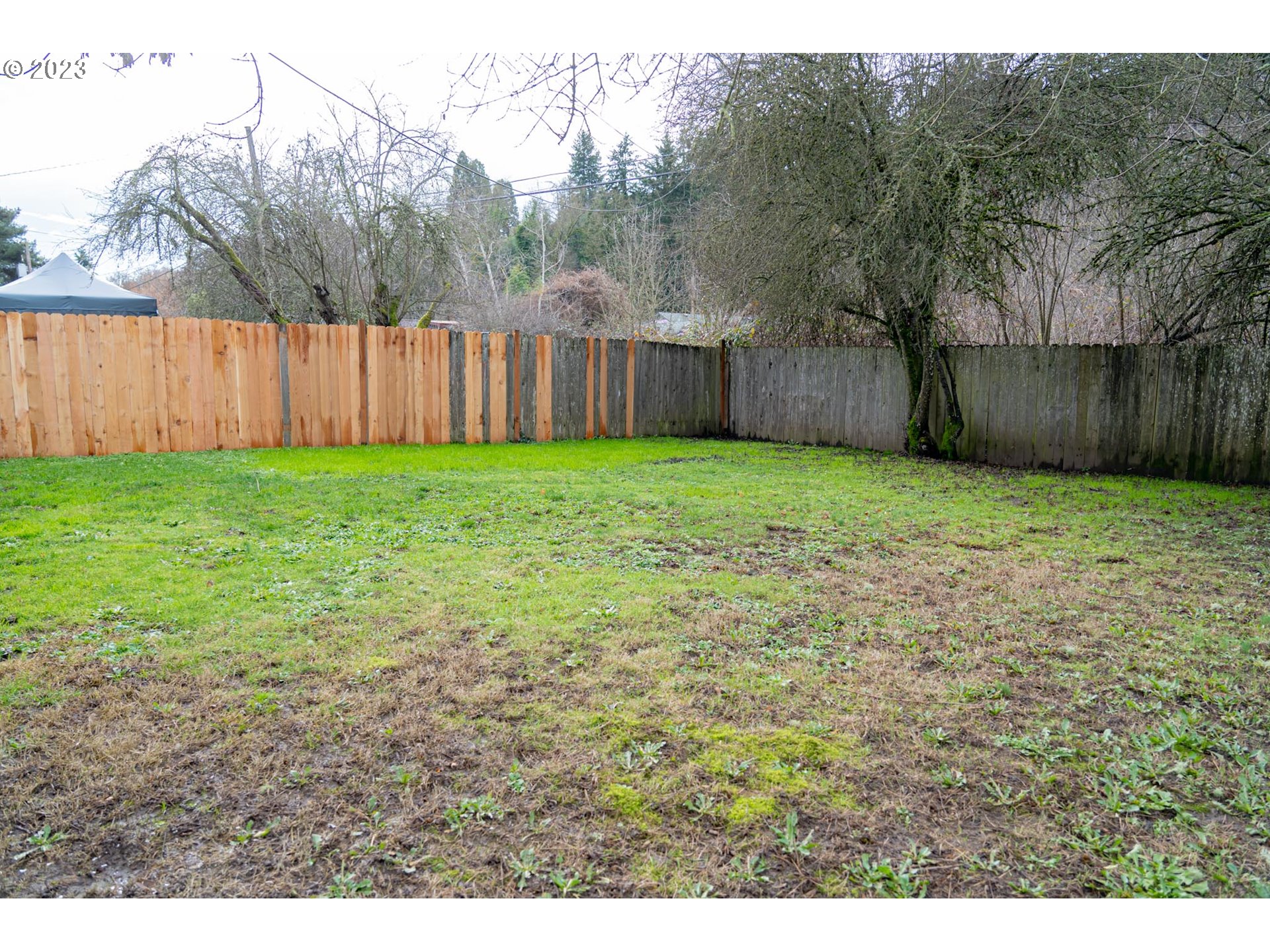 938 Water Street Springfield, OR 97477 - Photo 28 of 28 a view of a backyard with large trees and wooden fence
