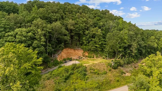 a view of a yard with a tree