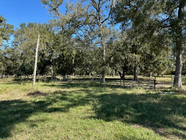 a view of a park with large trees