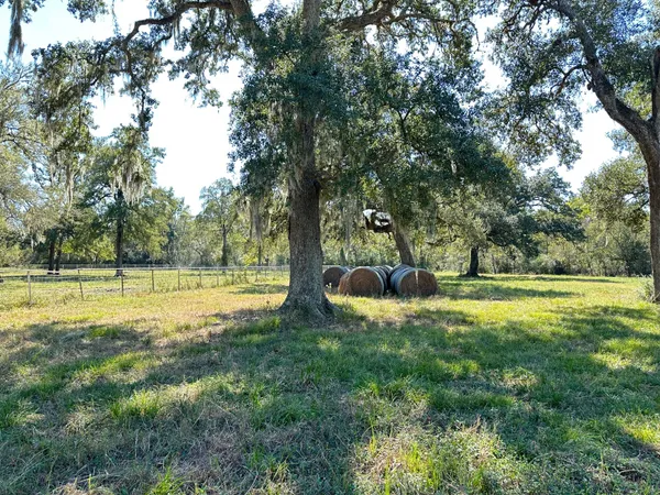 a view of swimming pool with a yard and large trees