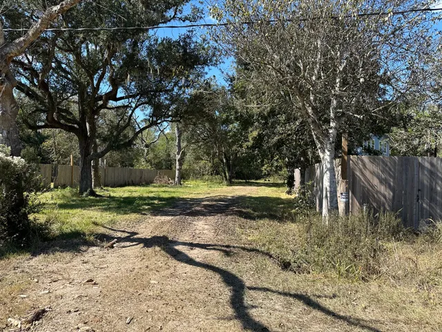 a view of a yard with plants and trees