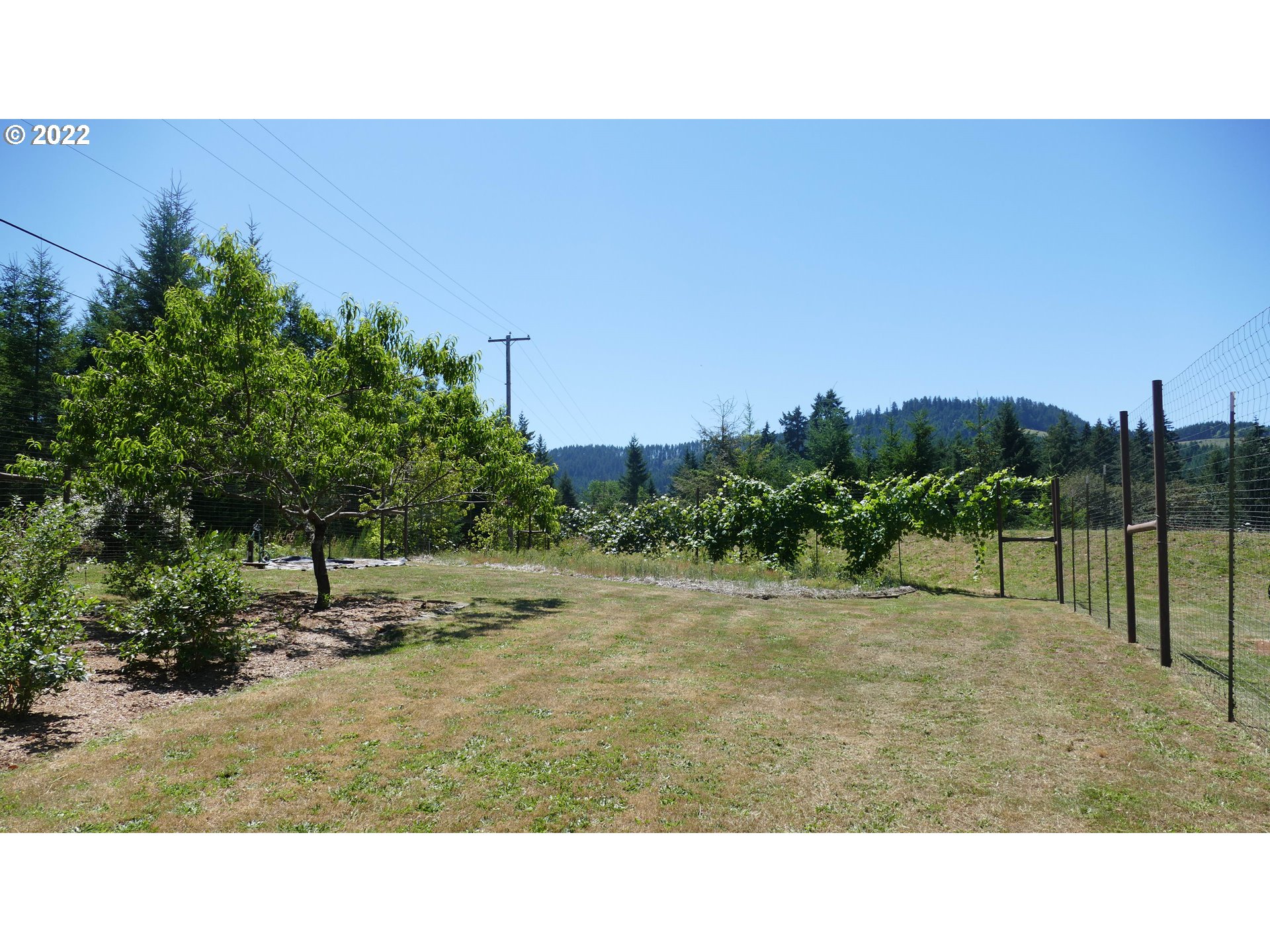 88594 Knight Road Veneta, OR 97487 - Photo 8 of 29 Gallery Image 8