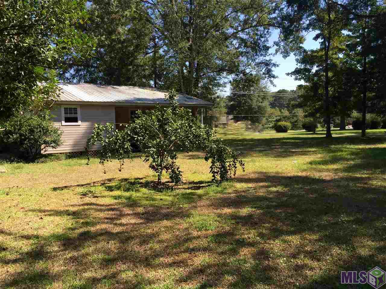 21477 Scivicque Road Denham Springs, LA 70726 - Photo 4 of 6 Satsuma Tree