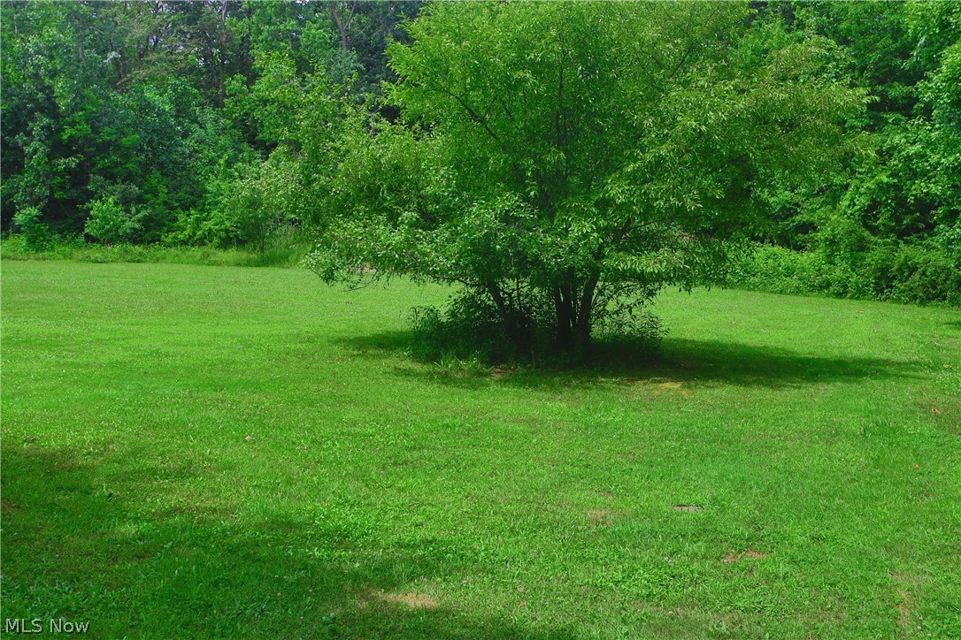 7250 Brakeman Road Painesville, OH 44077 - Photo 6 of 17 Expansive green lawn bordering a dense forest line
