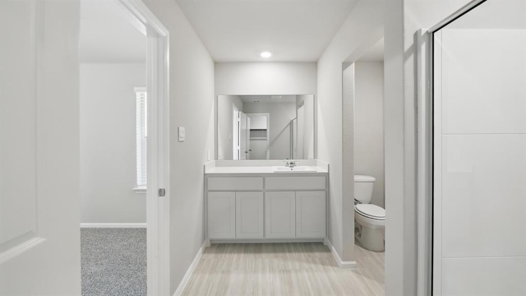 172 Mojave Road Boyd, TX 76023 - Photo 20 of 40 a bathroom with a sink a toilet and a mirror