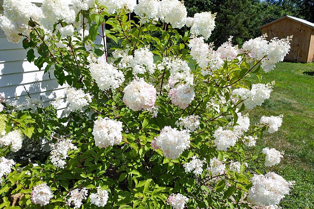 1590 Blissville Road Poultney, VT 05764 - Photo 5 of 40 Gallery Image 5