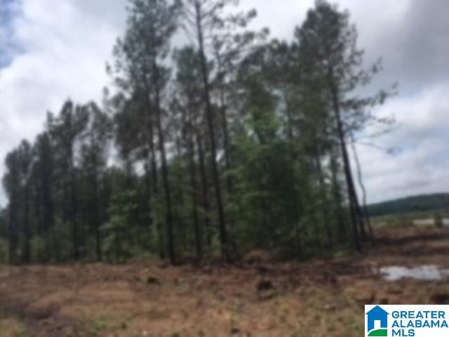 325 Springhill Road, Unit 1 Talladega, AL 35160 - Photo 2 of 31