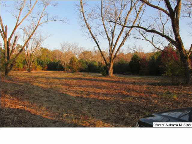 392 4 Mile Church Road, Unit 40 AC Anniston, AL 36206 - Photo 9 of 12
