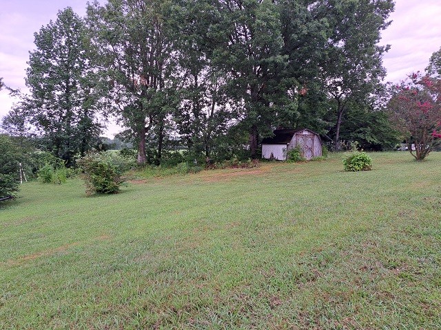 2227 North Springs Road Red Boiling Springs, TN 37150 - Photo 3 of 3 a backyard of a house with a trees and plants