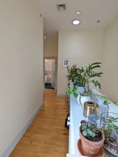 a view of a hallway with wooden floor and a potted plant