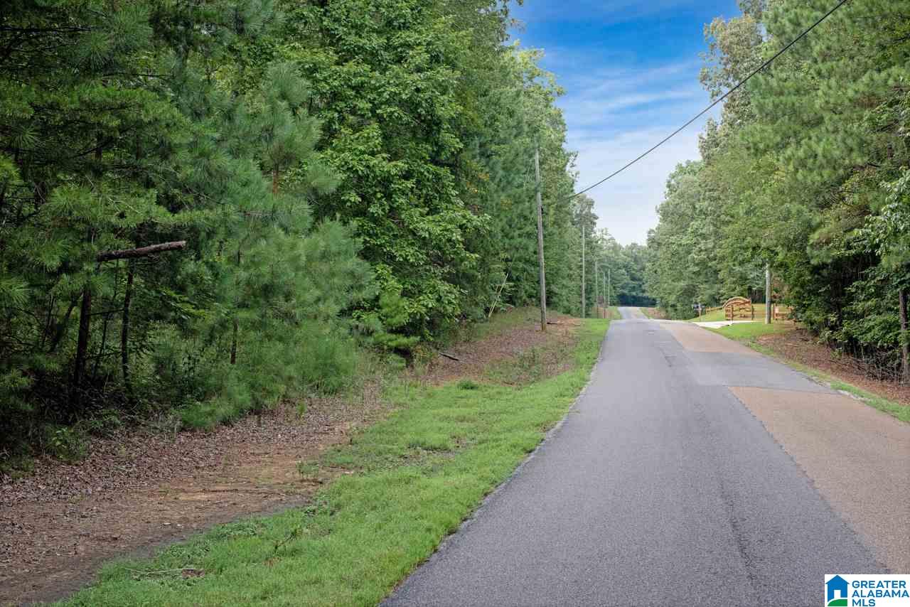 0 Harbor Light Trail, Unit 1 Jasper, AL 35504 - Photo 18 of 22