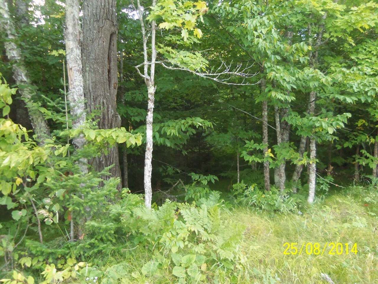 Lot 32 Nathan Pass Mercer, WI 54547 - Photo 5 of 8 Gallery Image 5