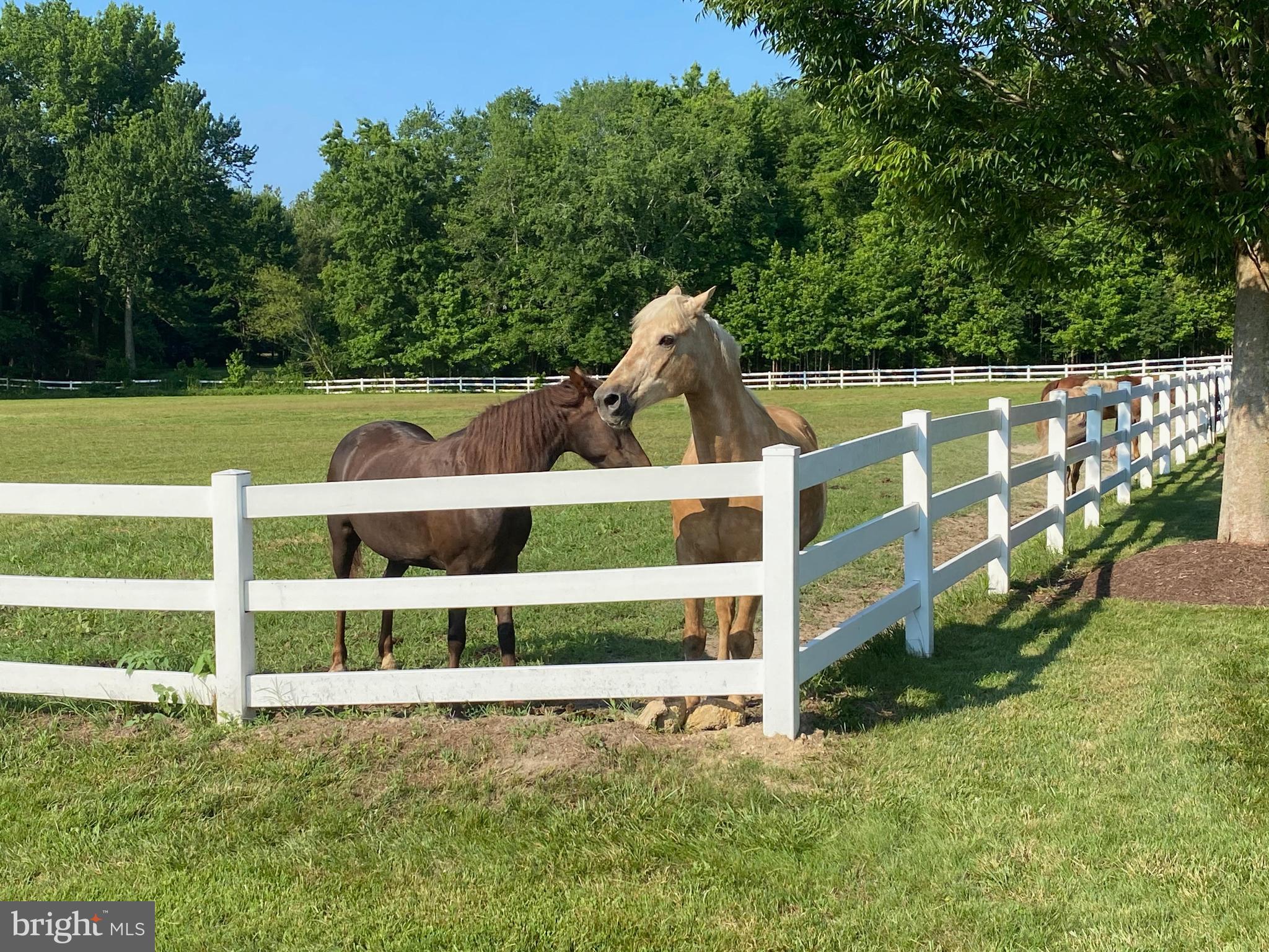 40751 Merlin Way Leonardtown, MD 20650 - Photo 14 of 52 Community equestrian center