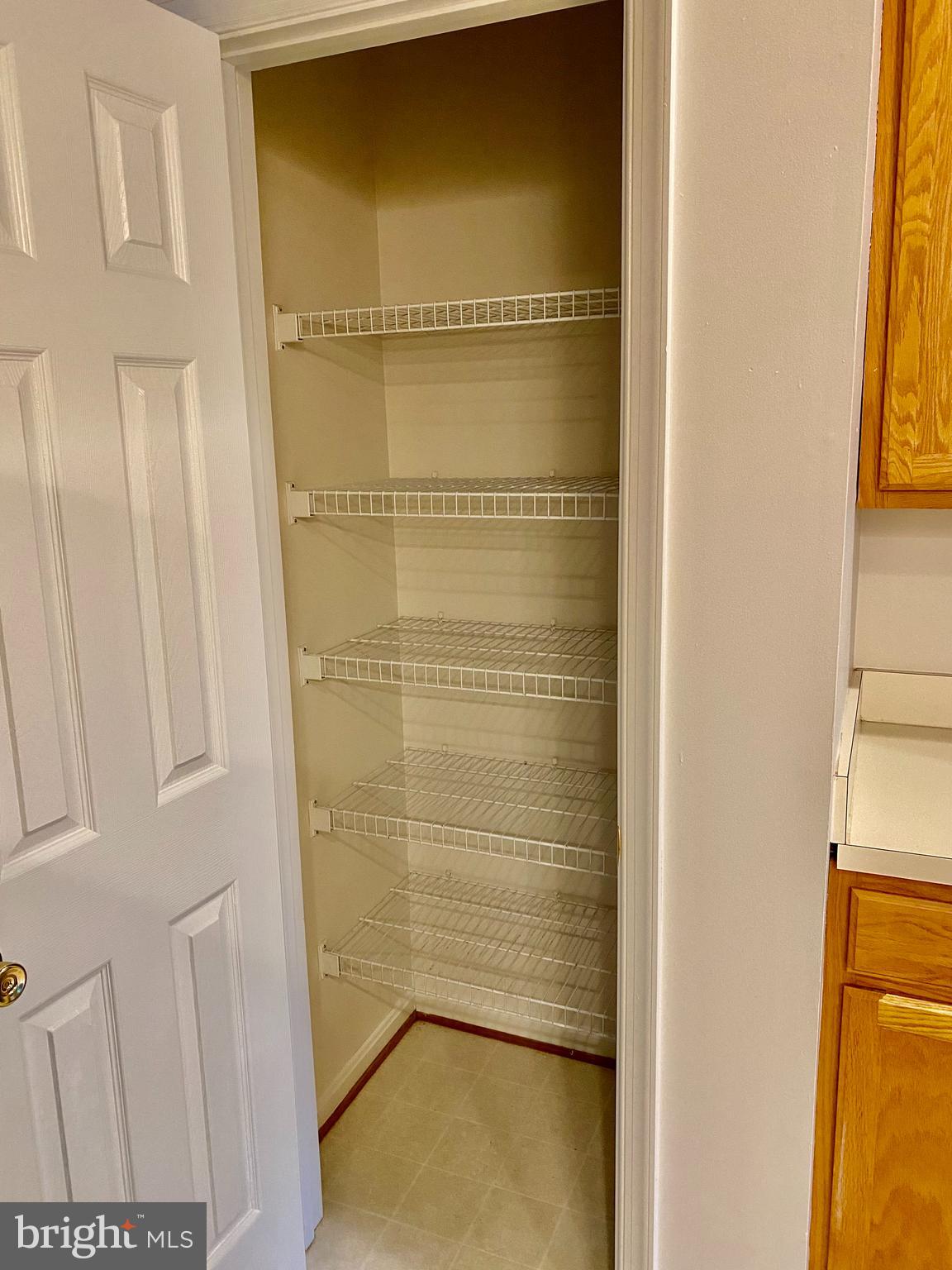 40751 Merlin Way Leonardtown, MD 20650 - Photo 18 of 52 kitchen pantry