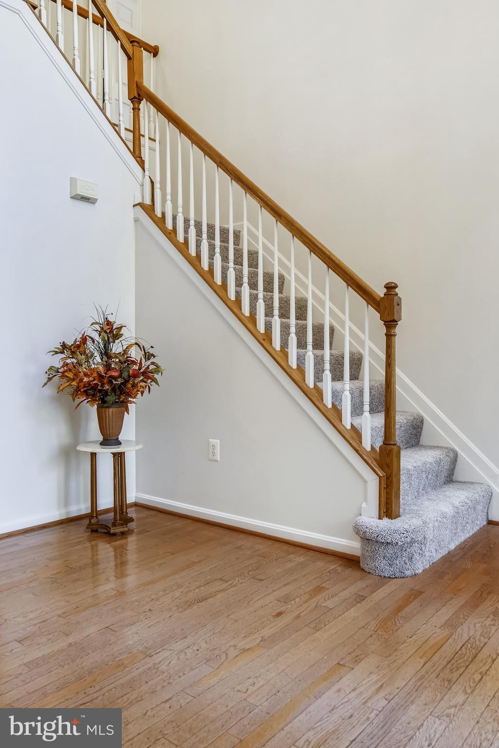 40751 Merlin Way Leonardtown, MD 20650 - Photo 3 of 52 spacious entry foyer