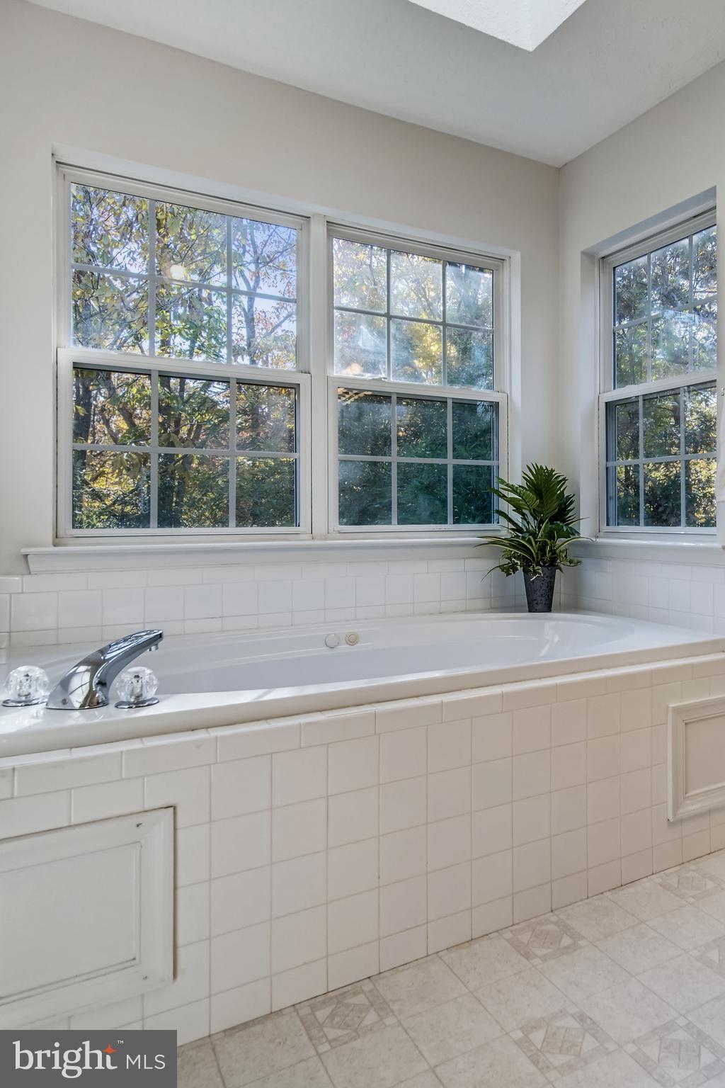 40751 Merlin Way Leonardtown, MD 20650 - Photo 36 of 52 soaking tub w/ jets; separate shower