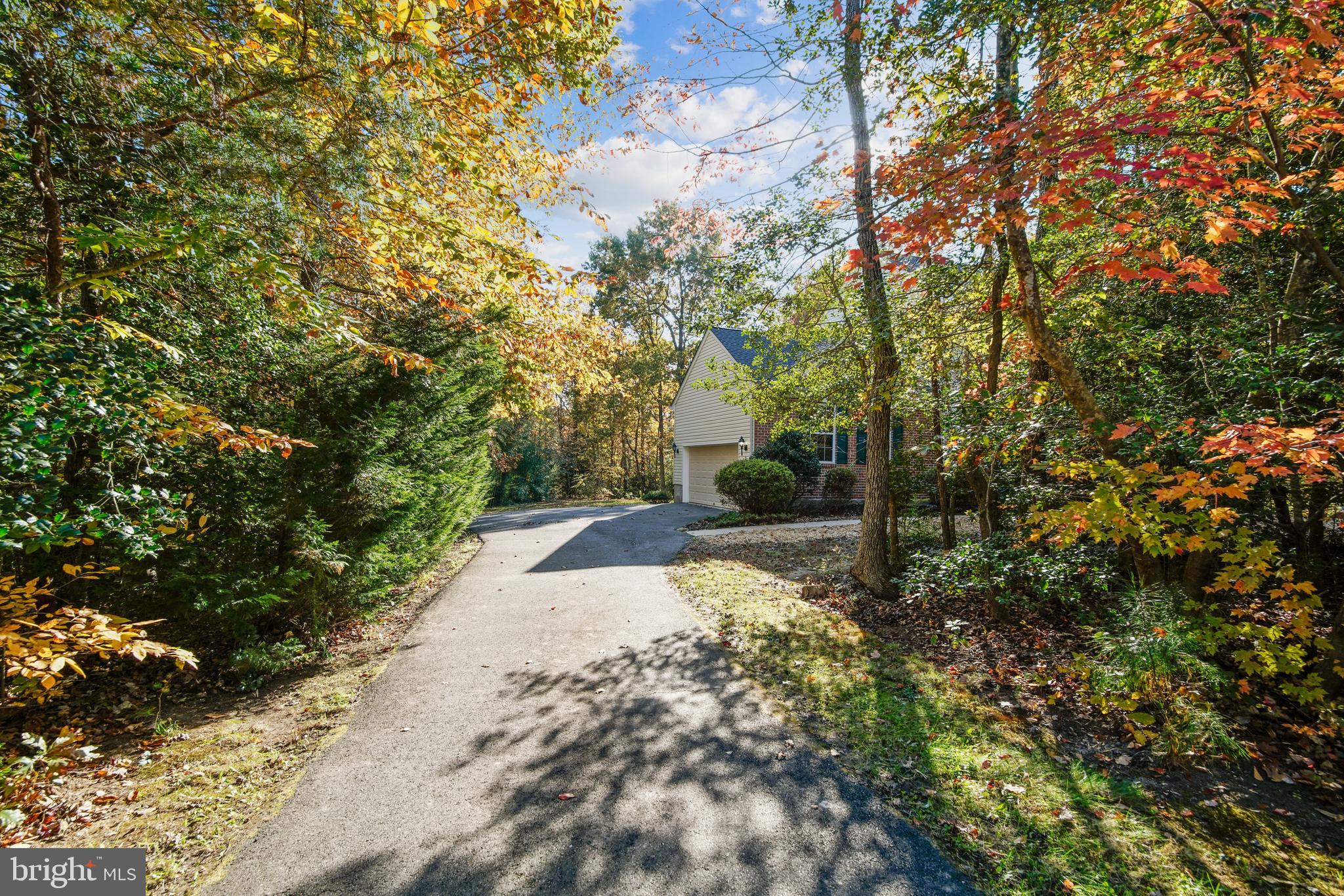 40751 Merlin Way Leonardtown, MD 20650 - Photo 48 of 52 driveway to home