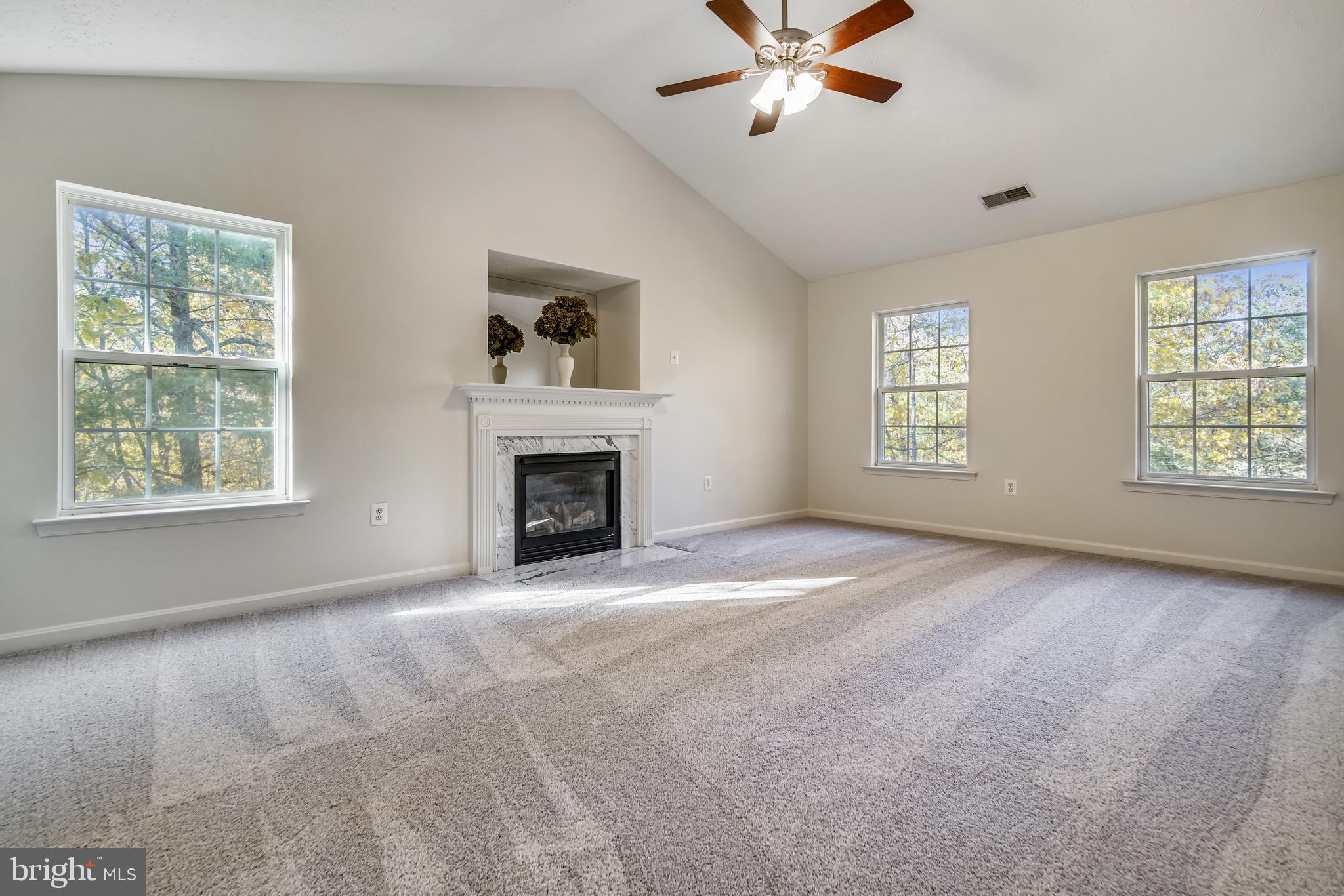 40751 Merlin Way Leonardtown, MD 20650 - Photo 6 of 52 master bedroom w/ fireplace & vaulted ceilings