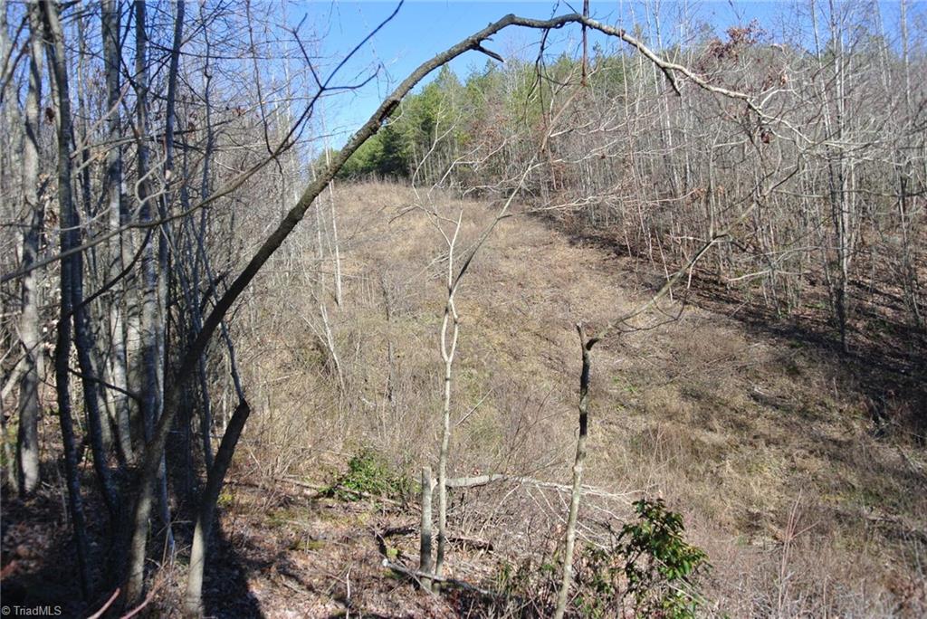 5 Romie Snow Road Dobson, NC 27017 - Photo 11 of 19 Gallery Image 11