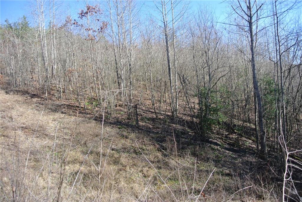5 Romie Snow Road Dobson, NC 27017 - Photo 12 of 19 Gallery Image 12