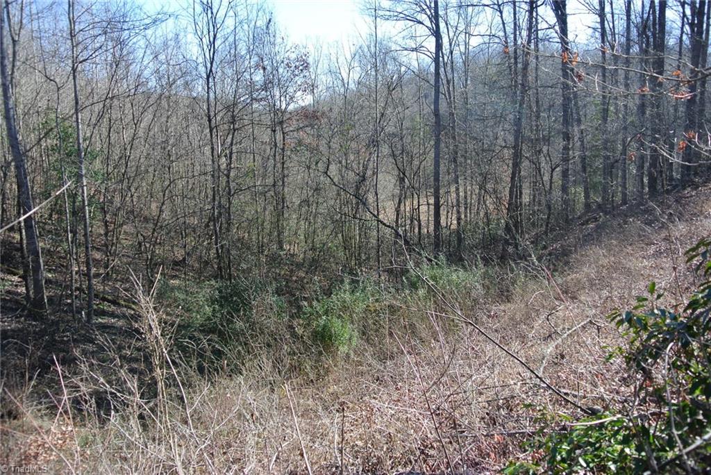 5 Romie Snow Road Dobson, NC 27017 - Photo 13 of 19 Gallery Image 13