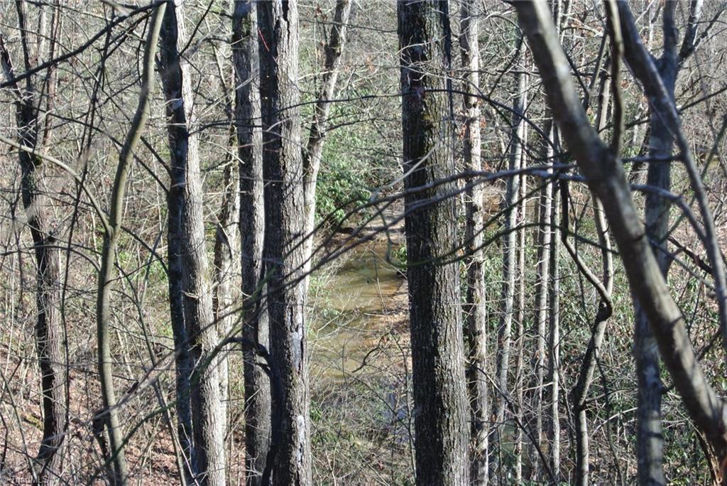 5 Romie Snow Road Dobson, NC 27017 - Photo 16 of 19 Gallery Image 16