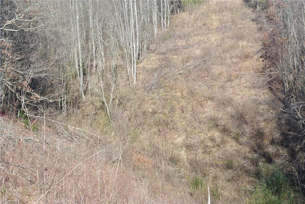 5 Romie Snow Road Dobson, NC 27017 - Photo 17 of 19 Gallery Image 17